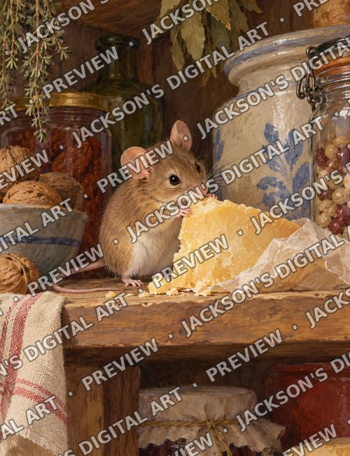Mouse in the Pantry